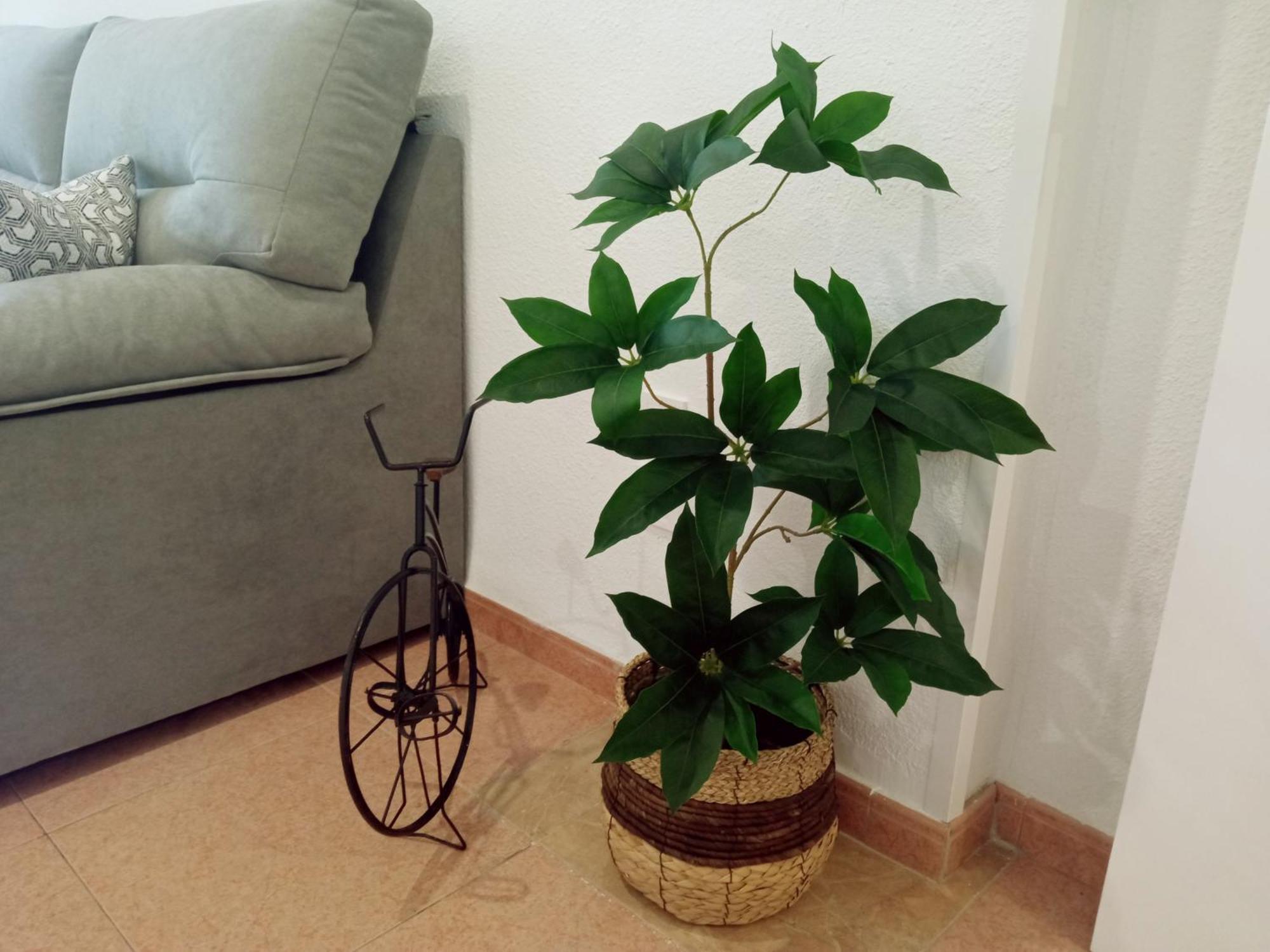 Apartamento Los Jardines De La Magdalena Córdoba Eksteriør billede